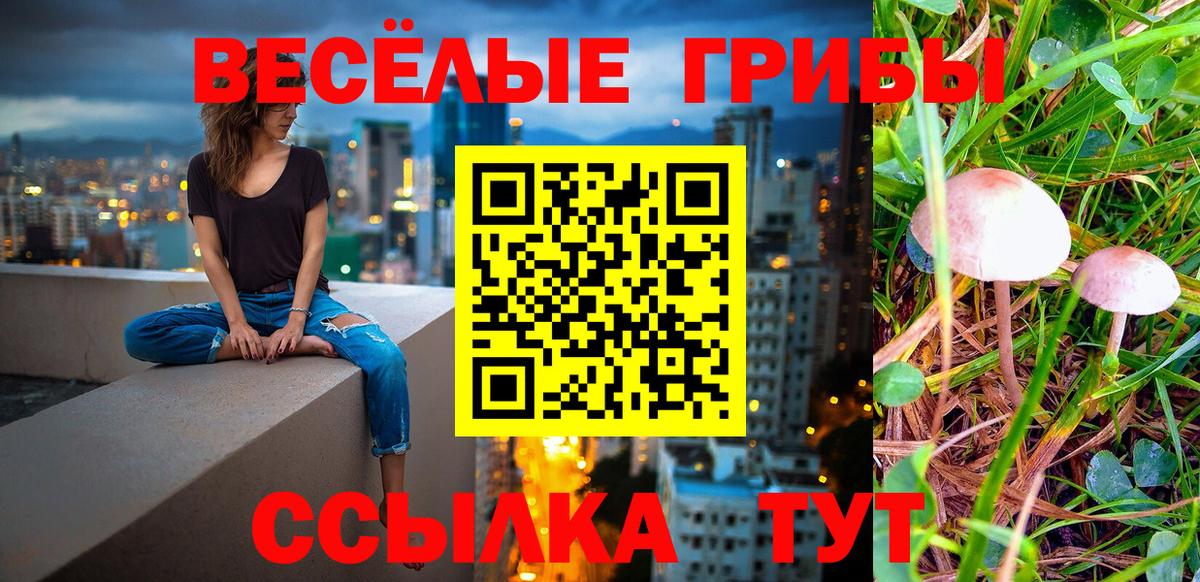 Тайшет  Галлюциногенные грибы ЛСД  наркошоп  Вход с VPN 