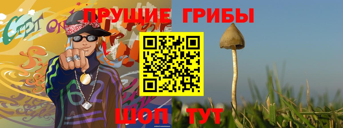Галлюциногенные грибы мицелий Тайшет